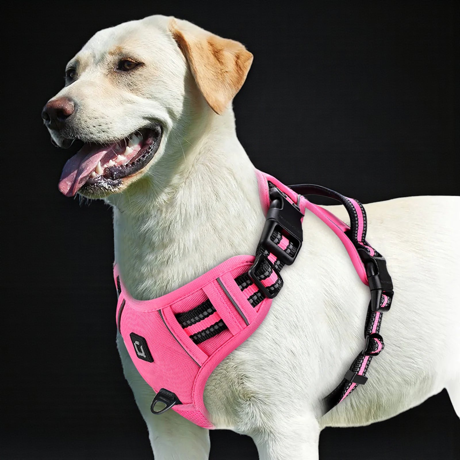 Anti-Pull Dog Harness