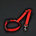 2-in-1 Safety Harness and Leash