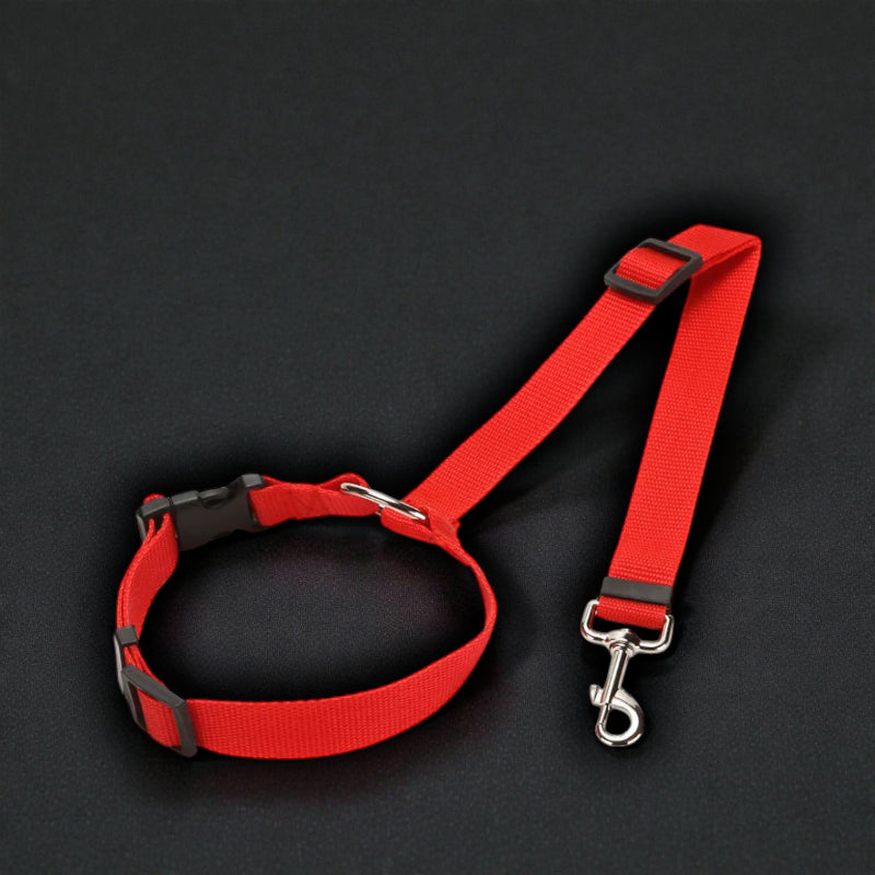 2-in-1 Safety Harness and Leash