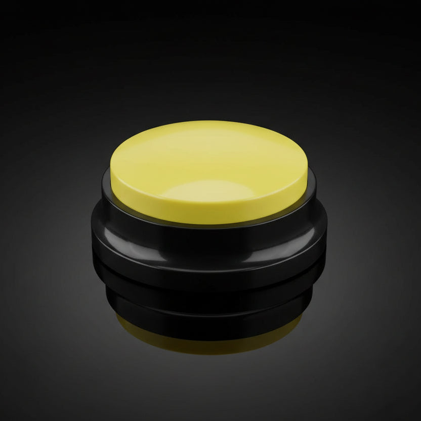 Recordable Sound Button