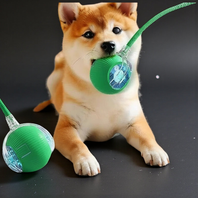 Automatic Interactive Ball