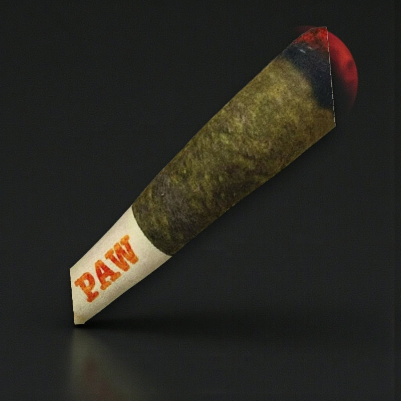 Plush Cigar with Squeaker