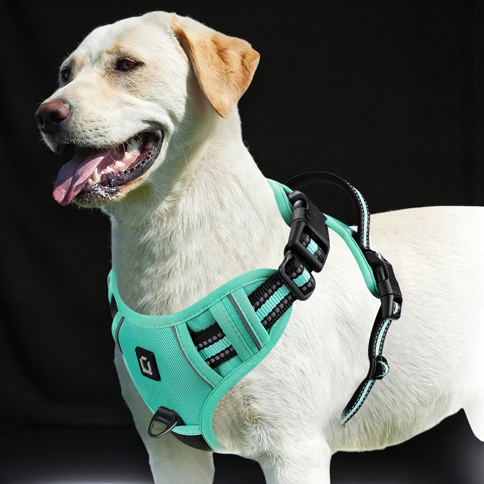 Anti-Pull Dog Harness