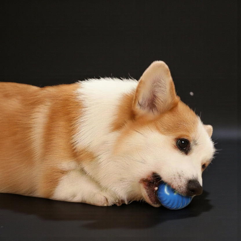 USB Rotating and Bouncing Smart Toy