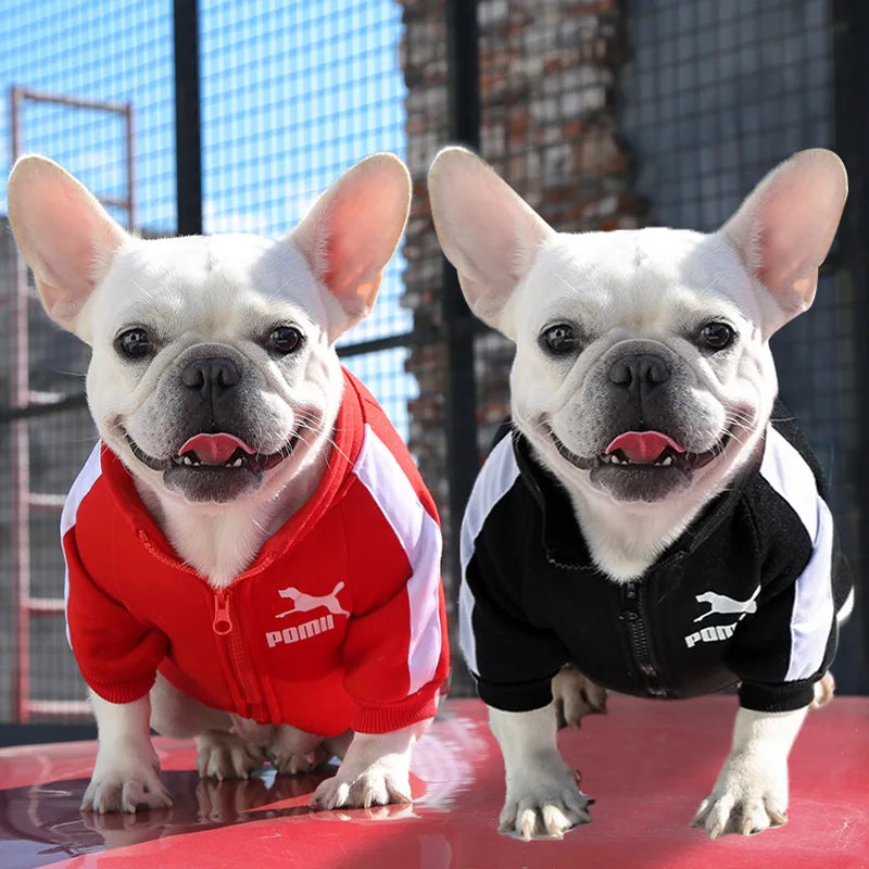 Dog Baseball Jacket