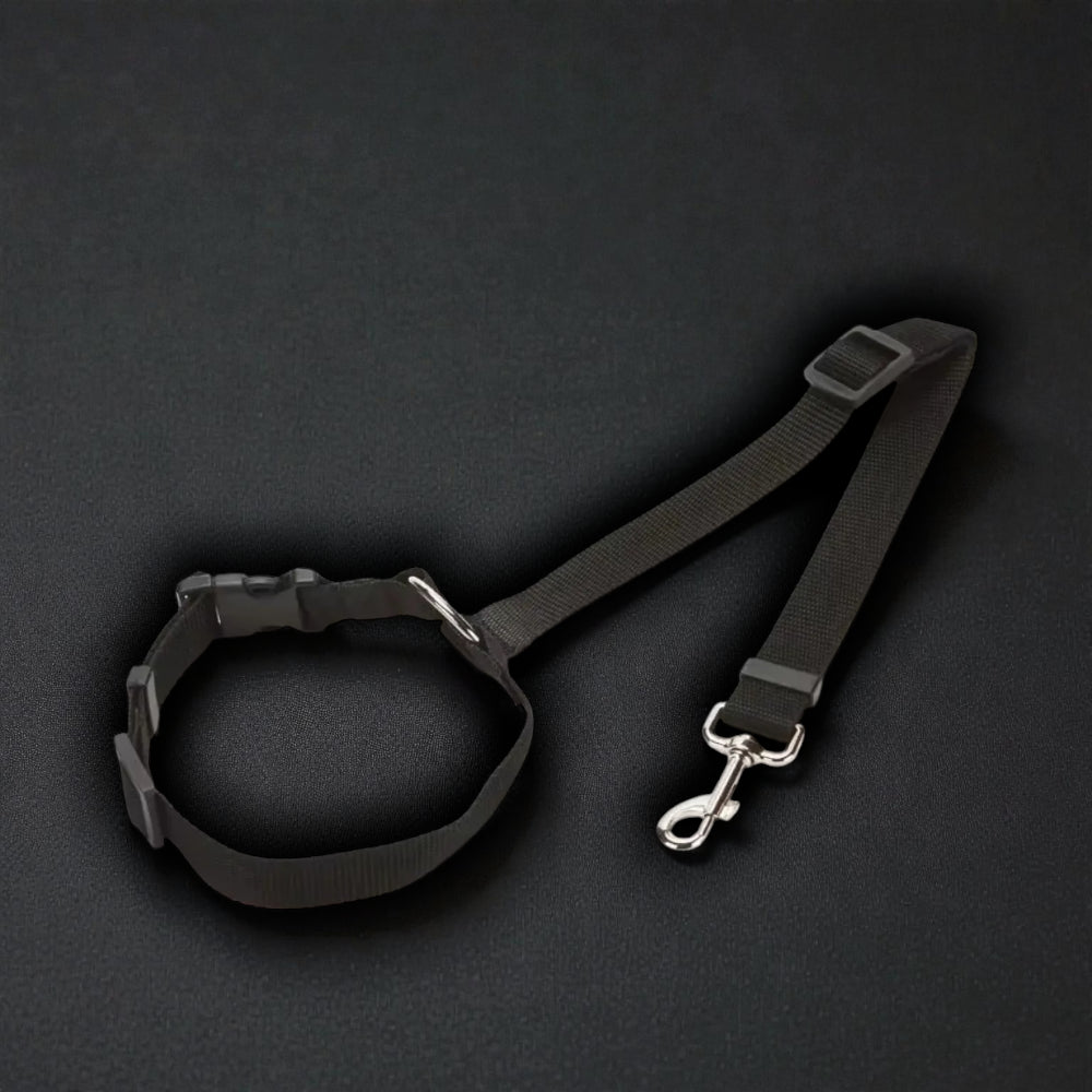 2-in-1 Safety Harness and Leash