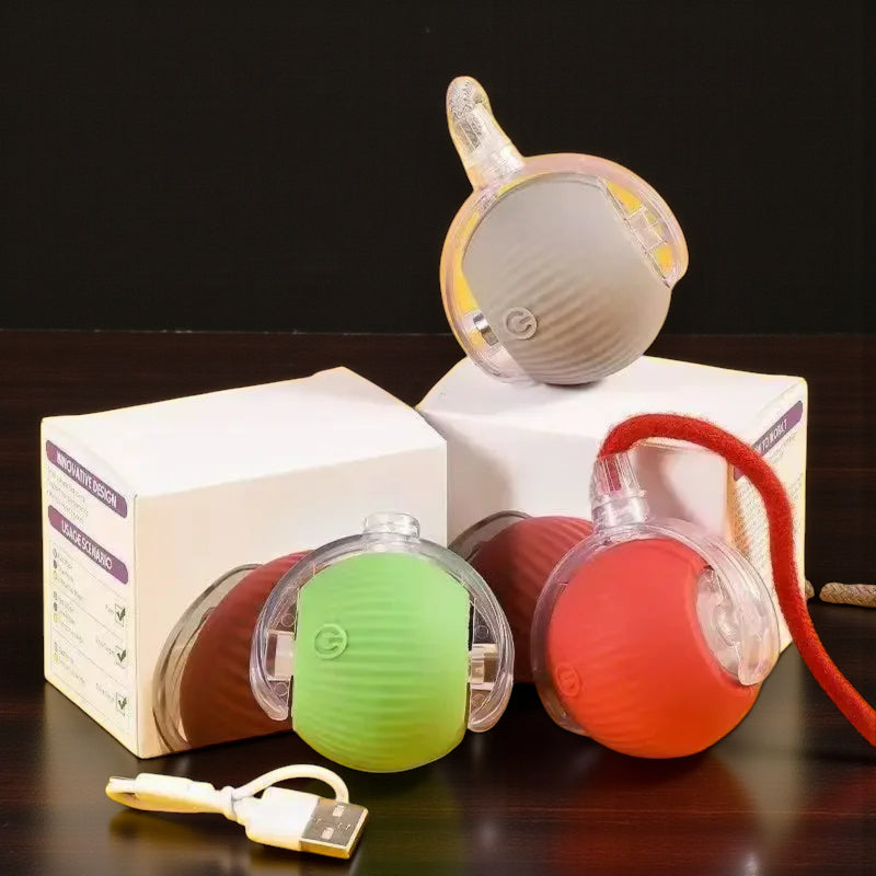 Automatic Interactive Ball