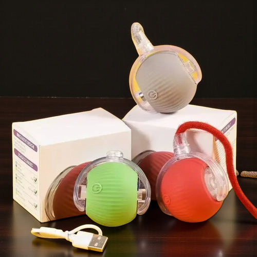 Automatic Interactive Ball