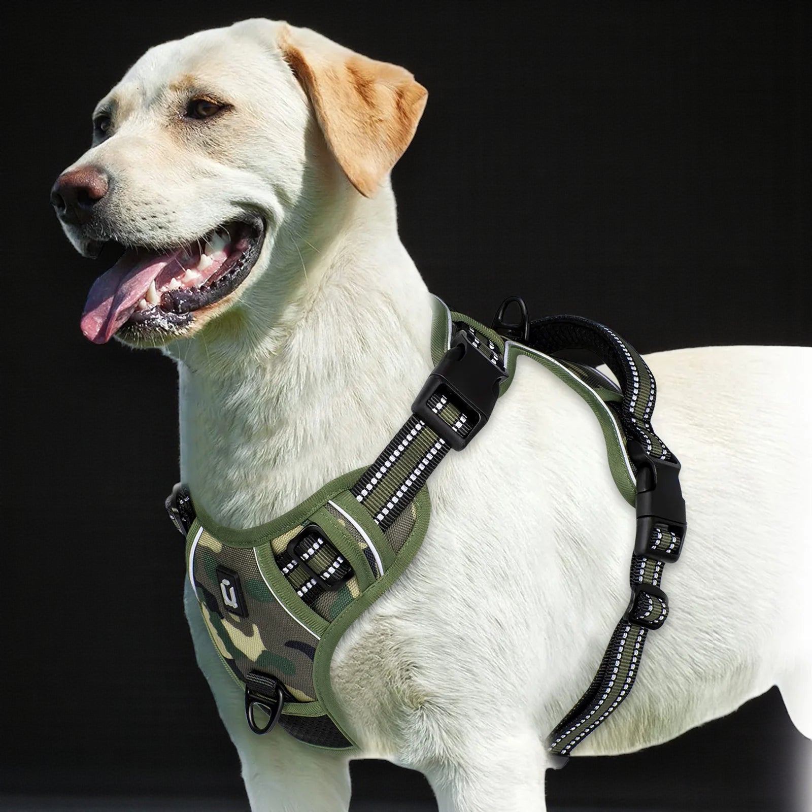 Anti-Pull Dog Harness