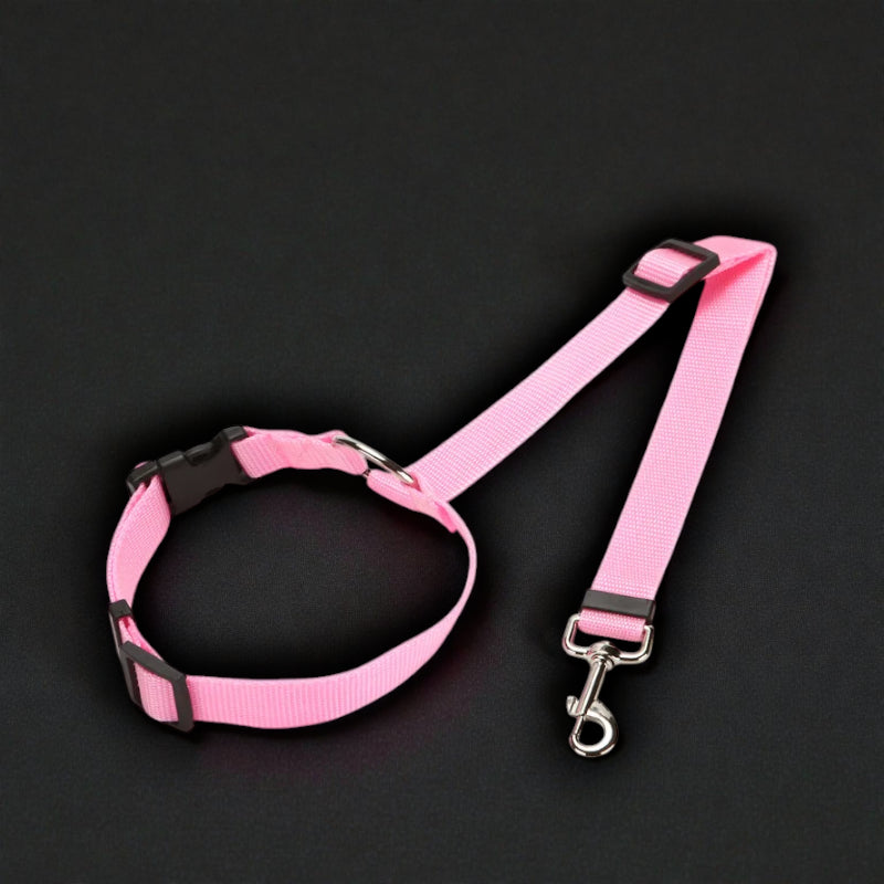 2-in-1 Safety Harness and Leash