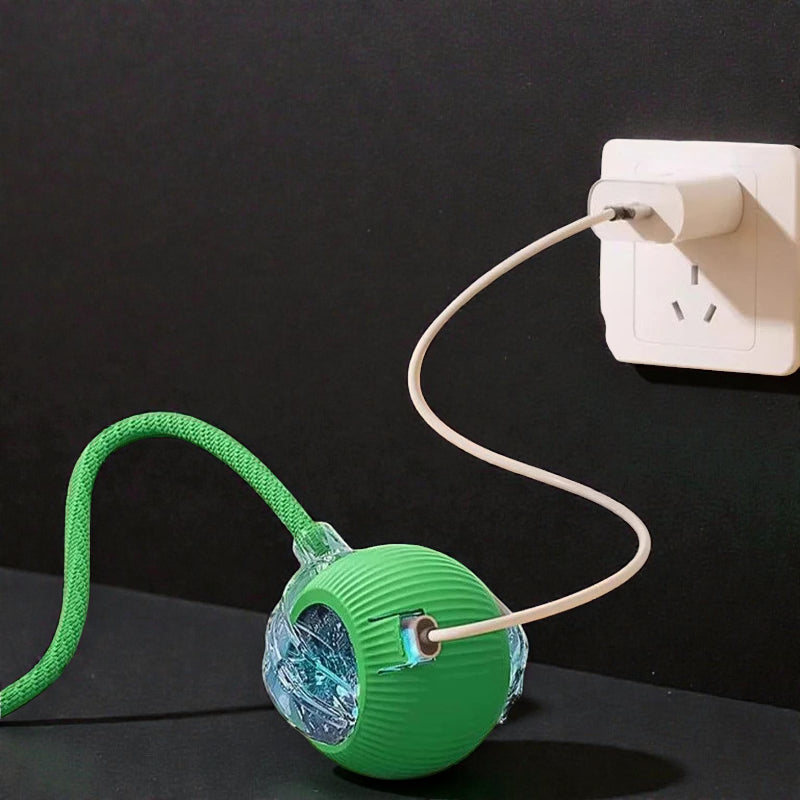 Automatic Interactive Ball