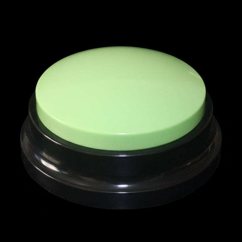 Recordable Sound Button