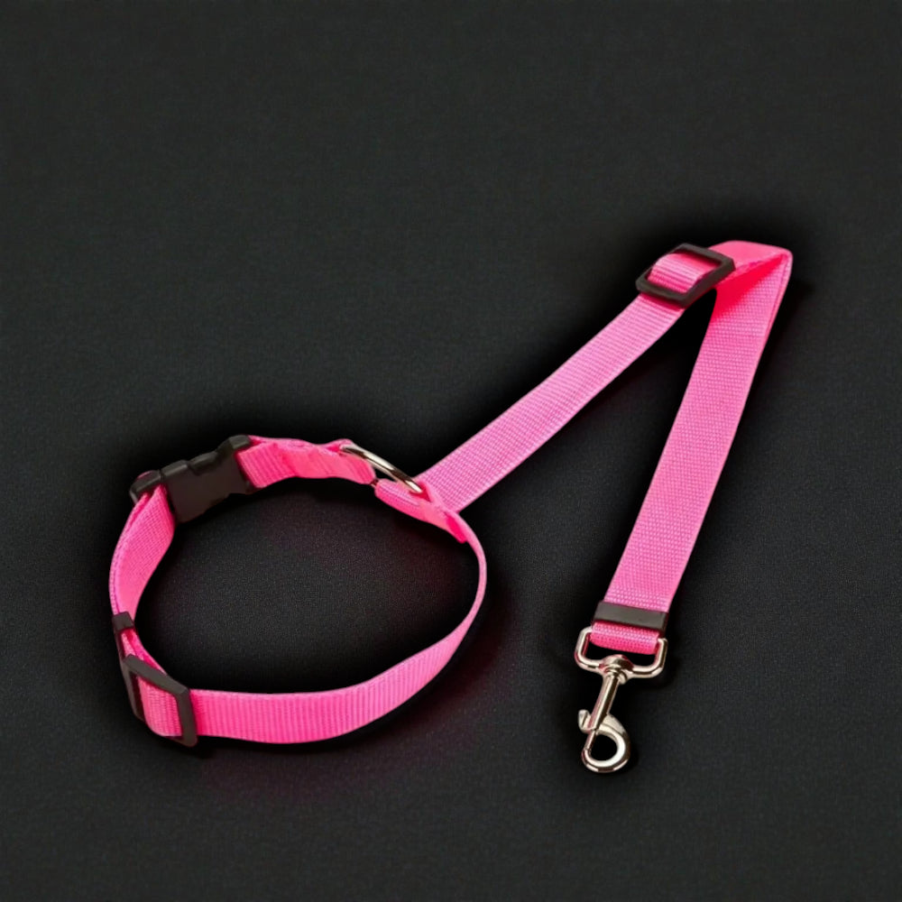 2-in-1 Safety Harness and Leash