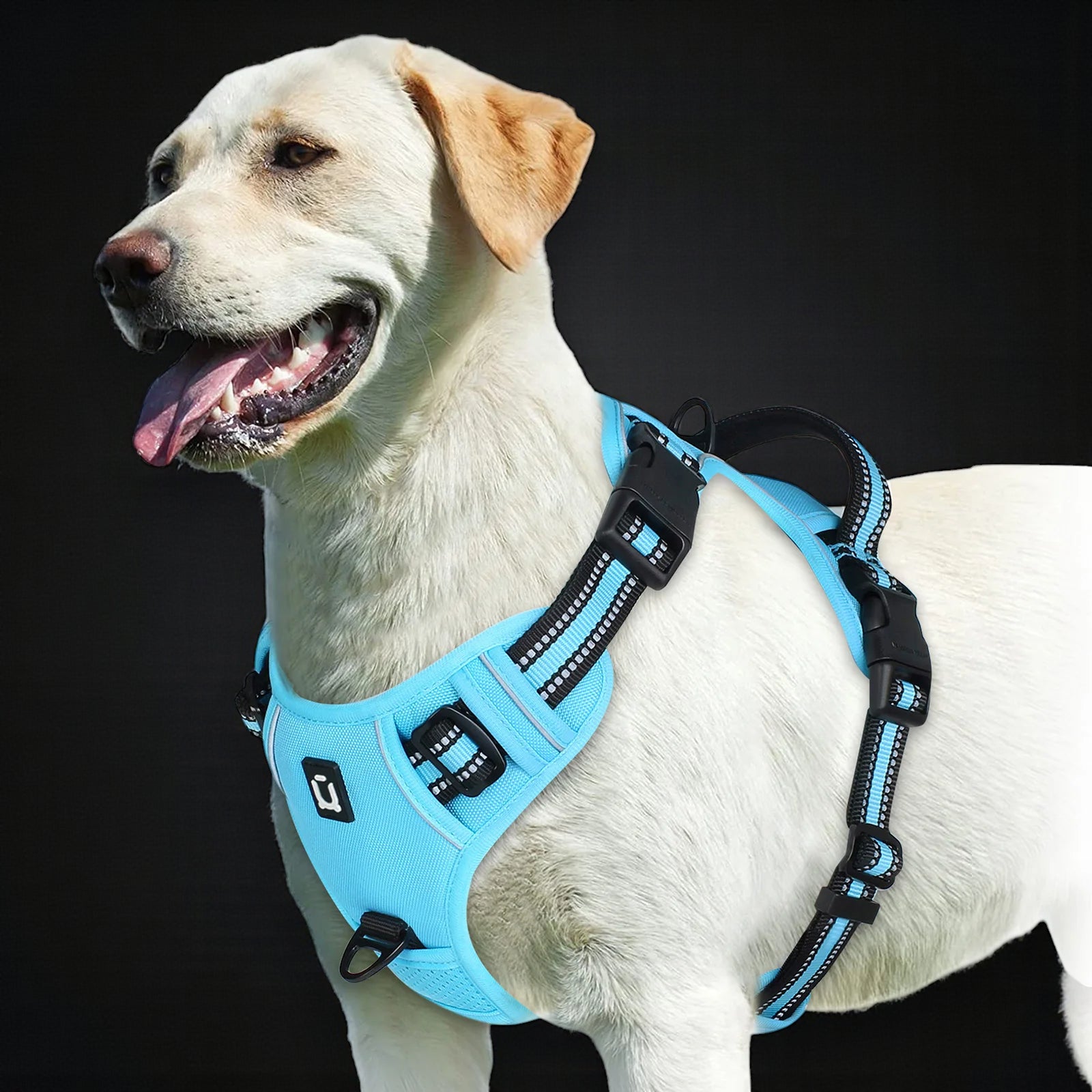 Anti-Pull Dog Harness