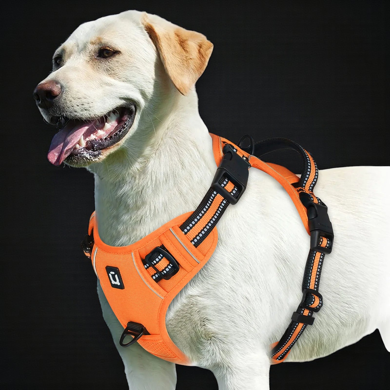 Anti-Pull Dog Harness