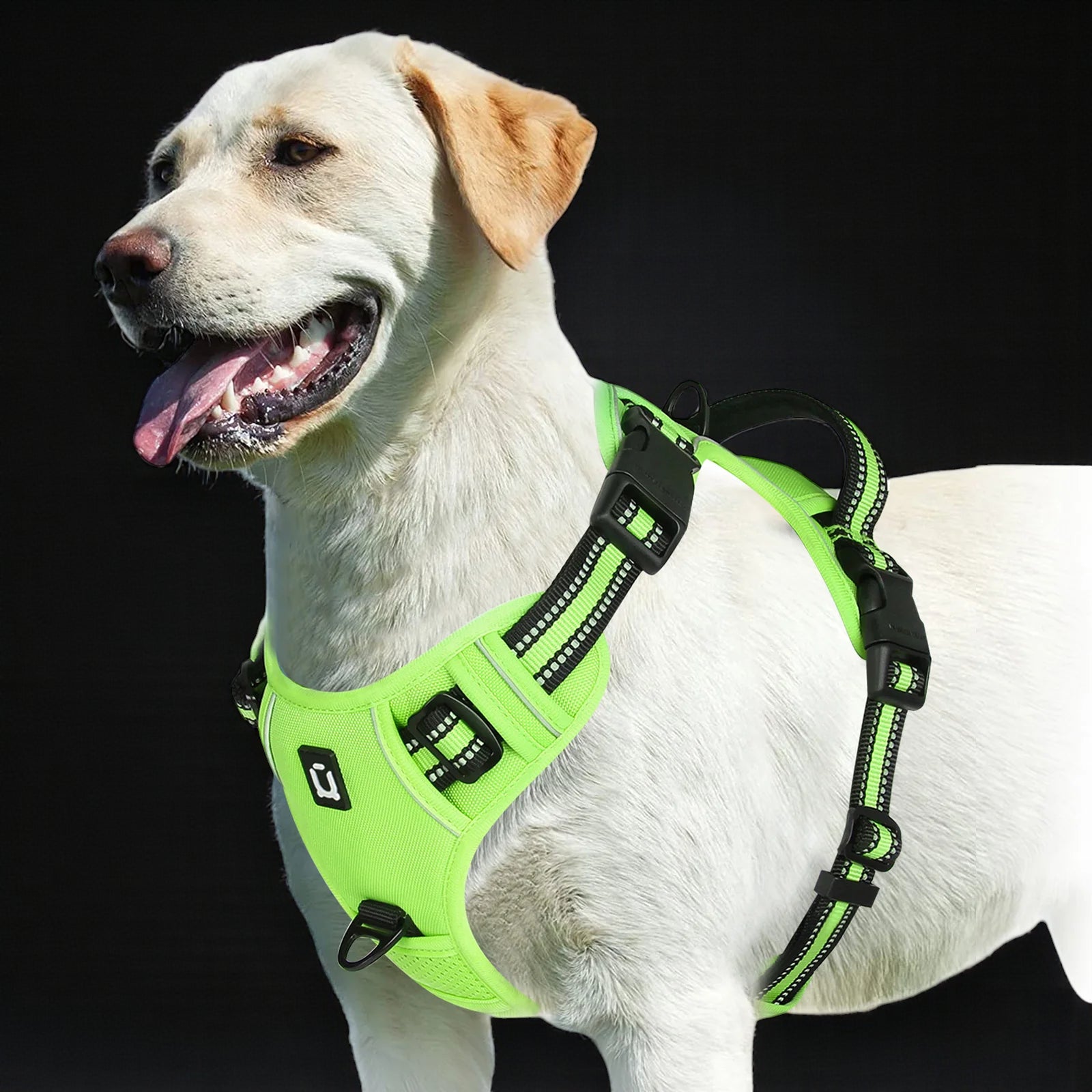 Anti-Pull Dog Harness