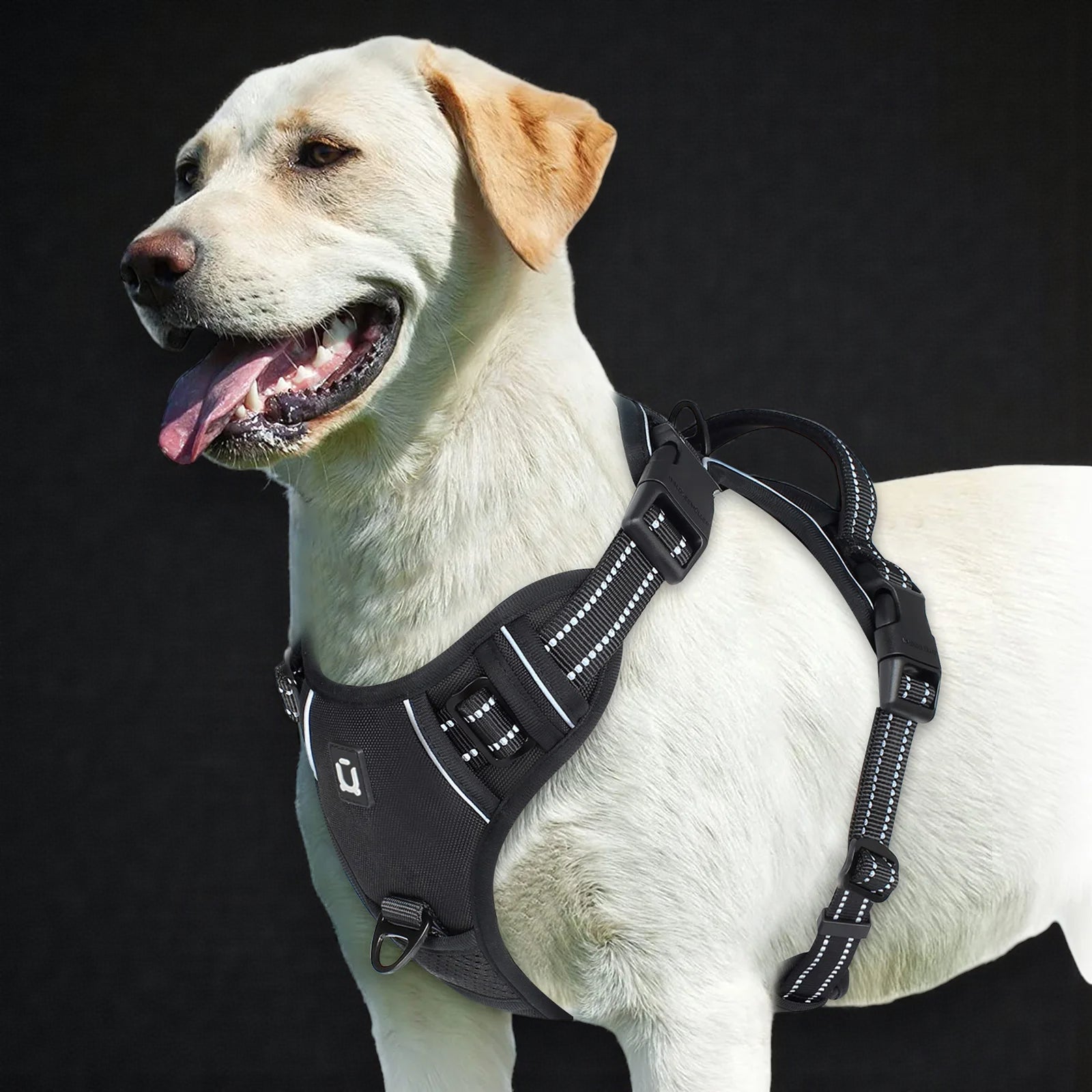 Anti-Pull Dog Harness
