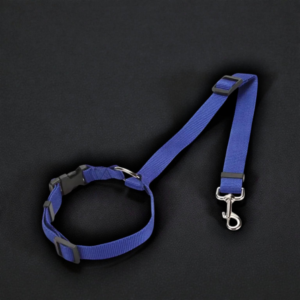 2-in-1 Safety Harness and Leash