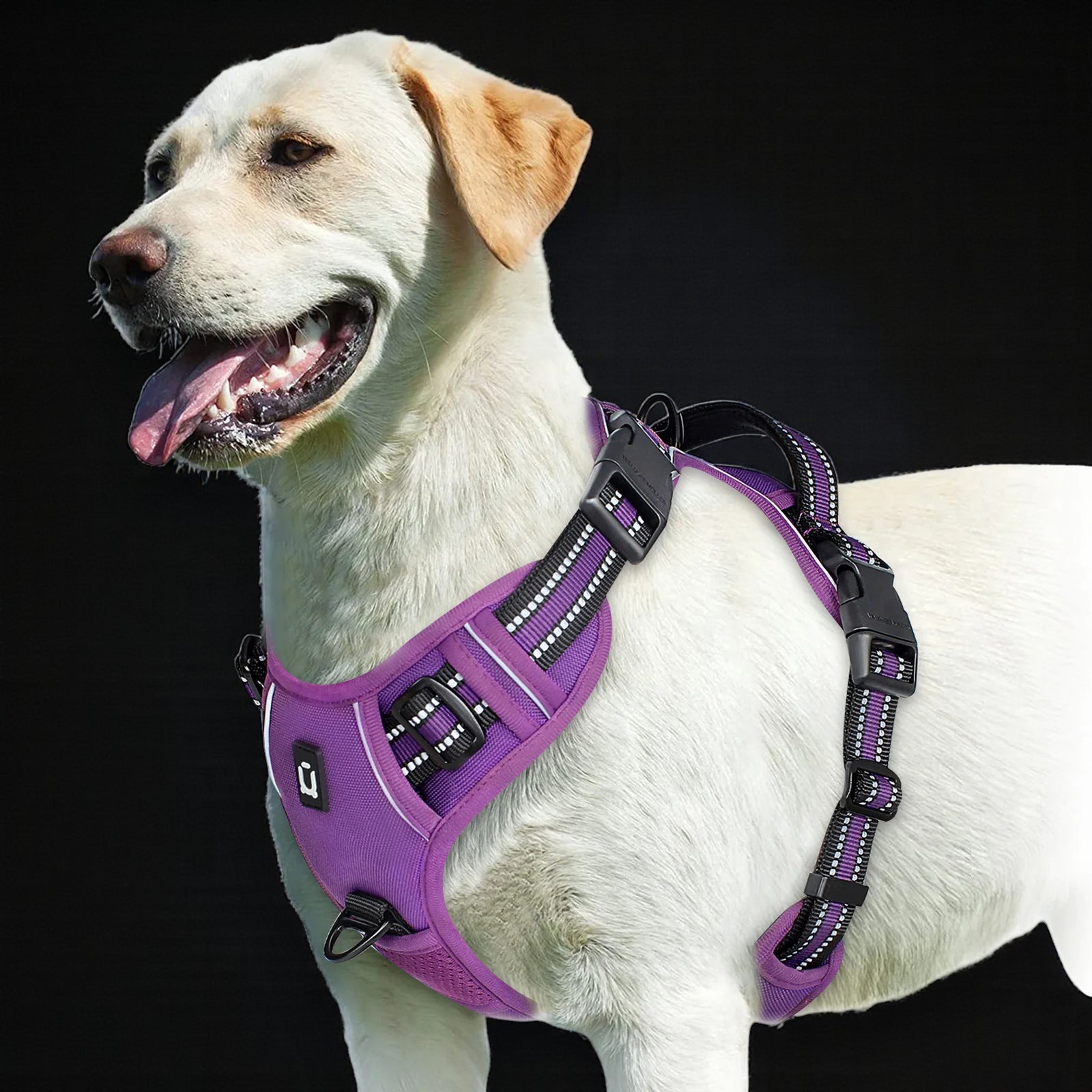 Anti-Pull Dog Harness