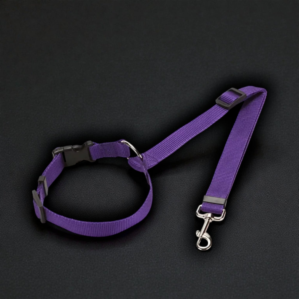 2-in-1 Safety Harness and Leash