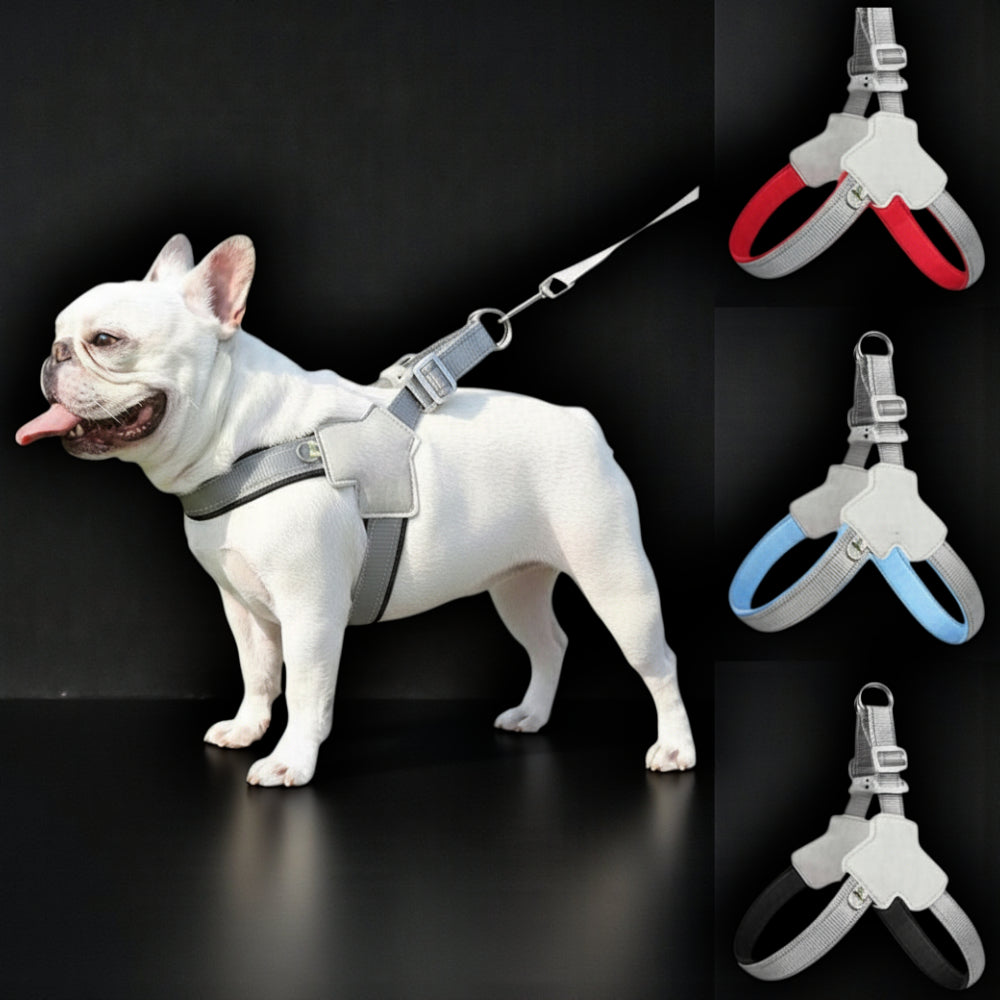 Adjustable and Reflective Dog &amp; Cat Harness