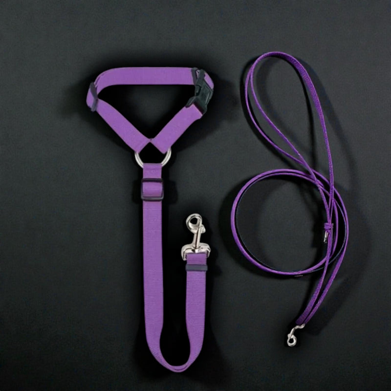 2-in-1 Safety Harness and Leash