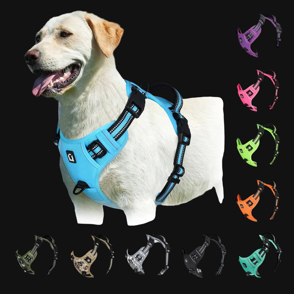 Anti-Pull Dog Harness