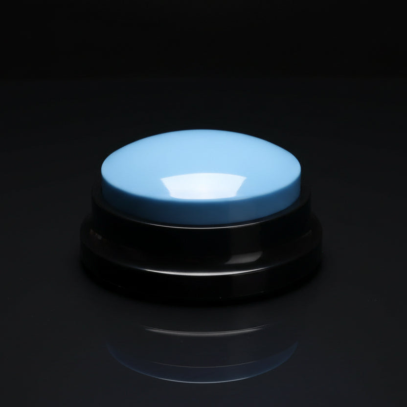 Recordable Sound Button