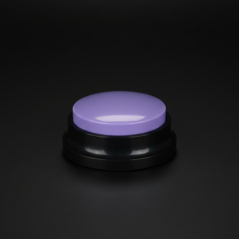 Recordable Sound Button