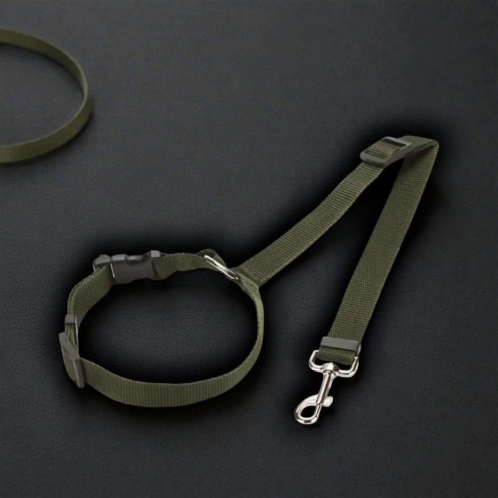 2-in-1 Safety Harness and Leash