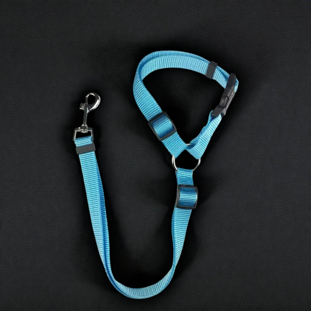 2-in-1 Safety Harness and Leash